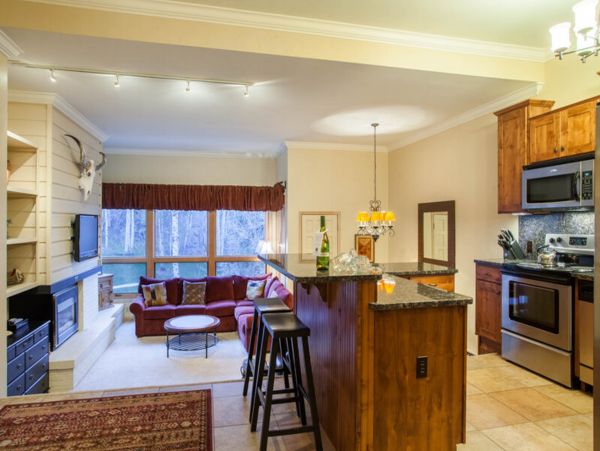 Steamboat Springs Condo 953169