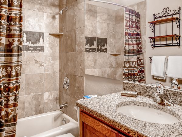 Steamboat Springs Condo 953174