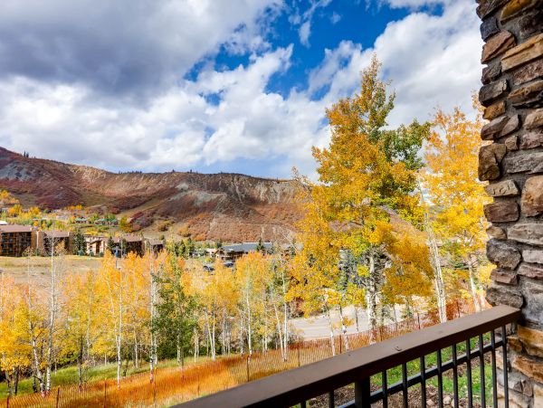 Snowmass Condo 953175