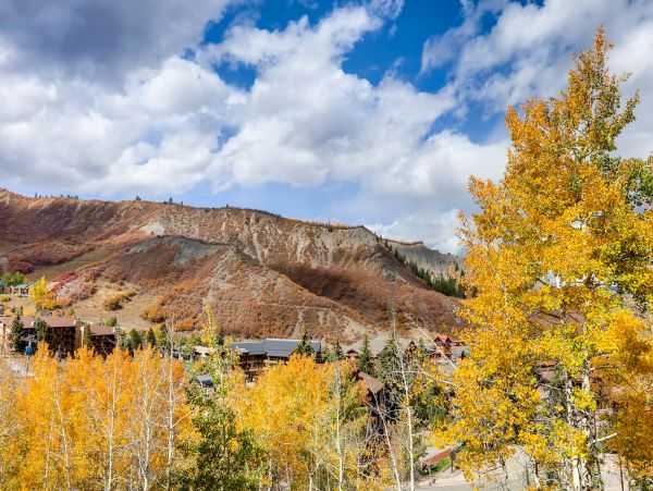 Snowmass Condo 953175