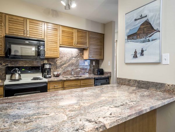 Steamboat Springs Condo 953178
