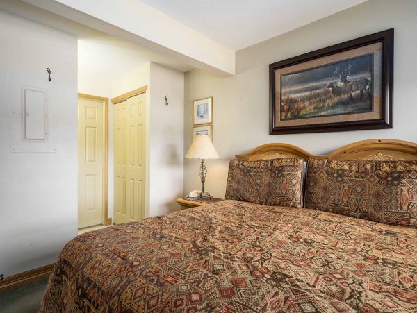 Steamboat Springs Condo 953178