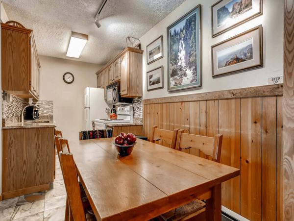 Steamboat Springs Condo 953181