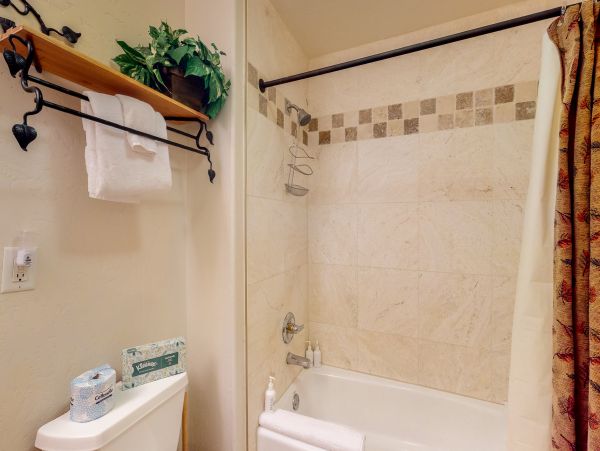 Steamboat Springs Condo 953182