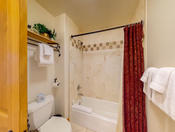 Steamboat Springs Condo 953182