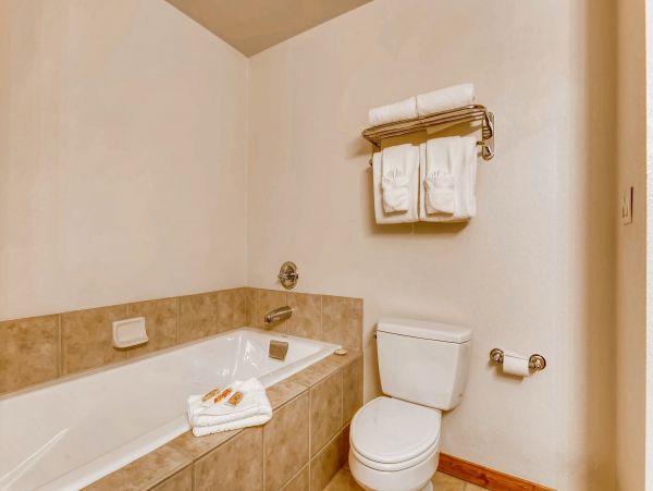 Breckenridge Condo 953183