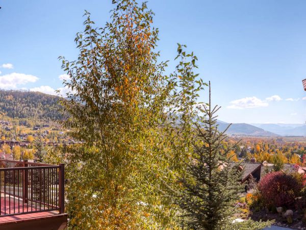 Steamboat Springs Condo 953186