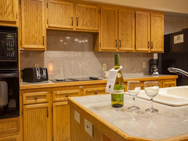 Steamboat Springs Condo 953187