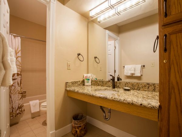 Steamboat Springs Condo 953187