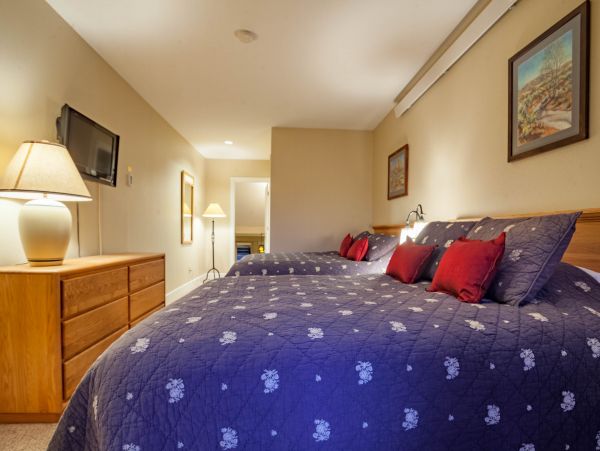 Steamboat Springs Condo 953187