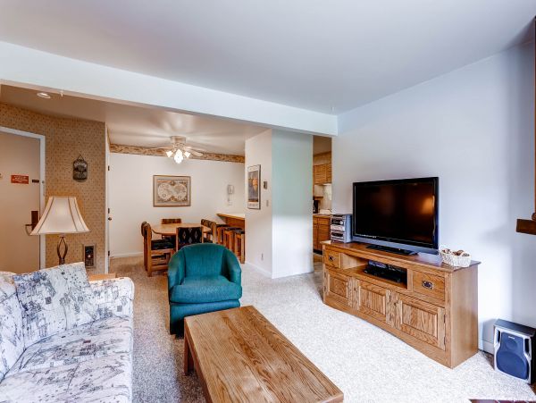 Steamboat Springs Condo 953188