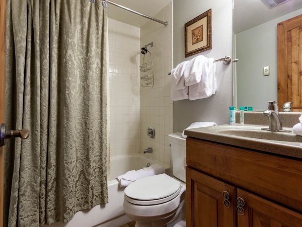 Steamboat Springs Condo 953193