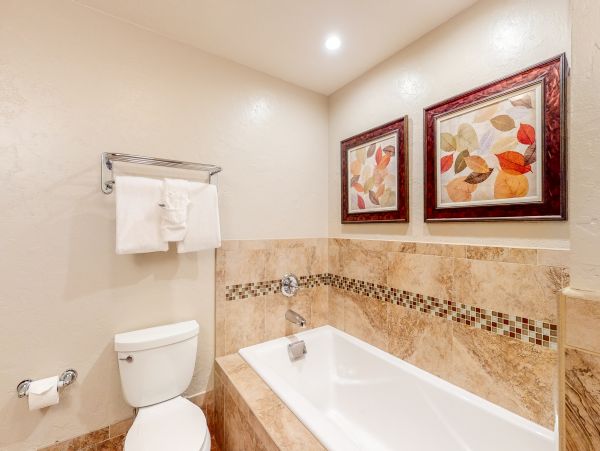 Breckenridge Condo 953194