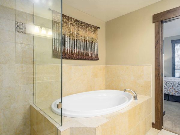 Steamboat Springs Condo 953195
