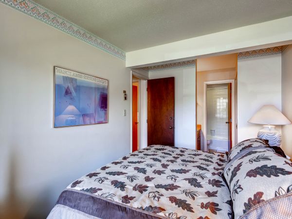 Steamboat Springs Condo 953204