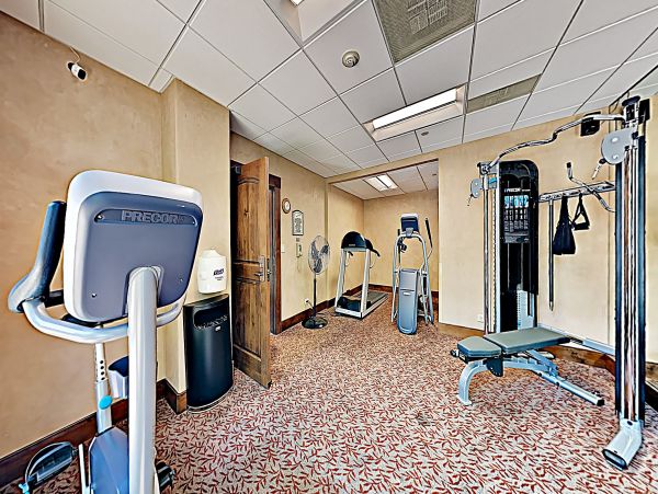 Beaver Creek Bachelor Gulch Condo 953205