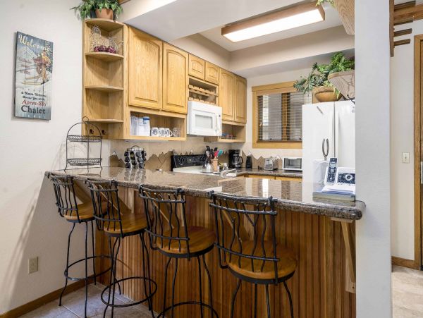 Steamboat Springs Condo 953207