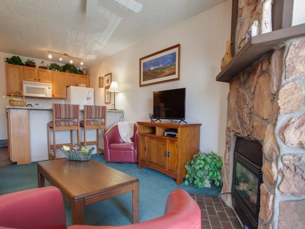 Steamboat Springs Condo 953216