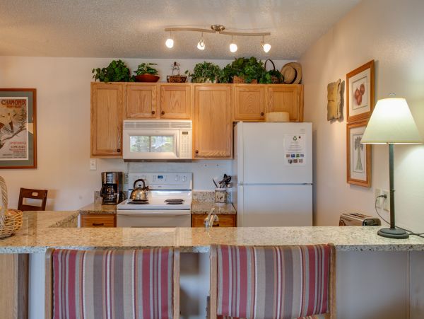 Steamboat Springs Condo 953216