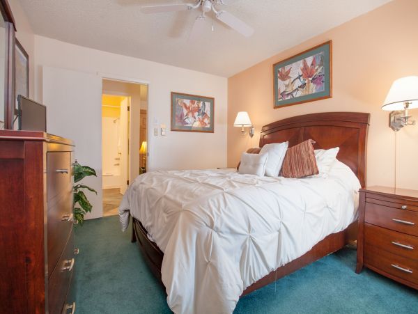 Steamboat Springs Condo 953216
