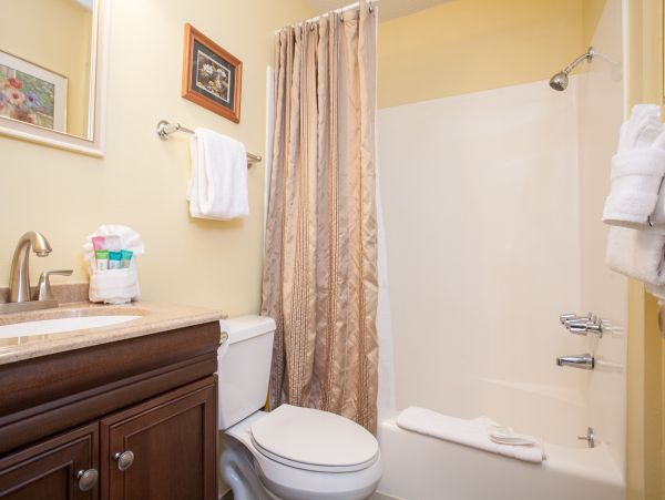 Steamboat Springs Condo 953216
