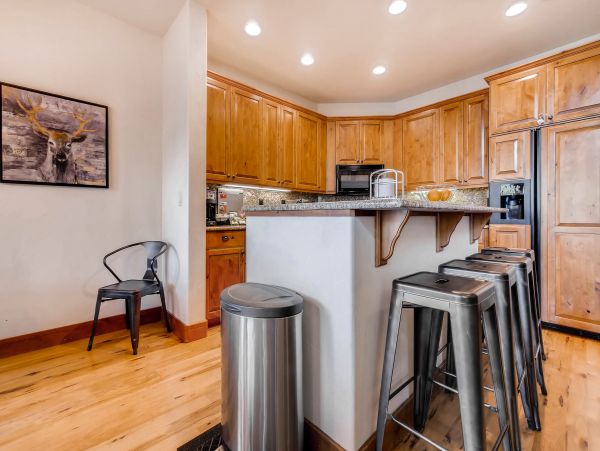 Steamboat Springs Condo 953219
