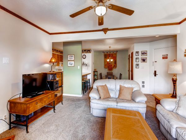 Steamboat Springs Condo 953220