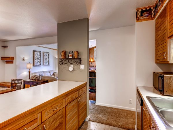 Steamboat Springs Condo 953220