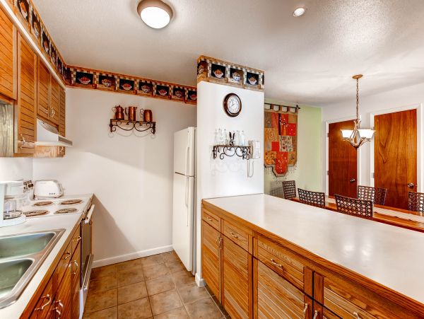 Steamboat Springs Condo 953220