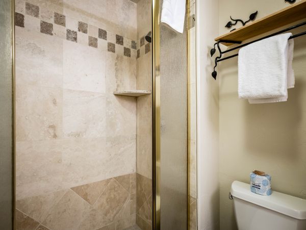 Steamboat Springs Condo 953222