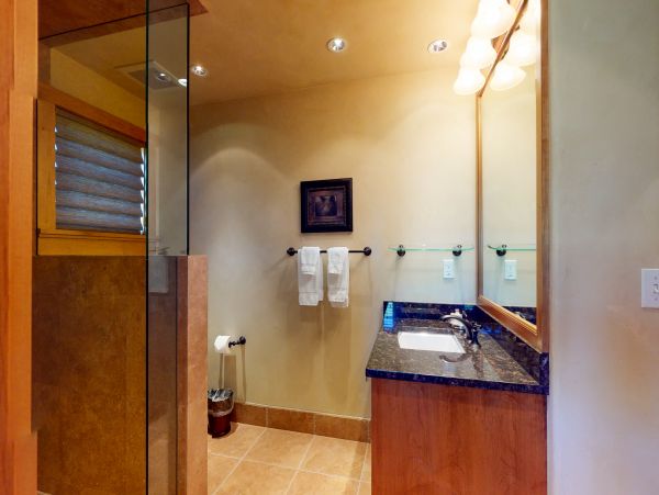 Snowmass Condo 953223