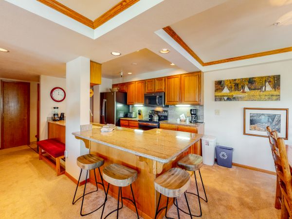 Steamboat Springs Condo 953224