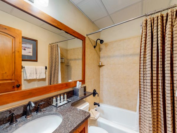 Vail Lionshead Condo 953227
