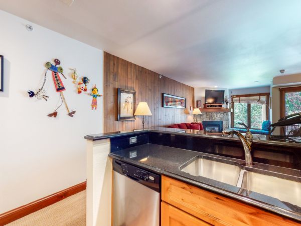 Vail Lionshead Condo 953236