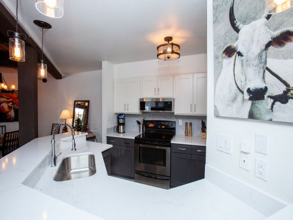 Steamboat Springs Condo 953256