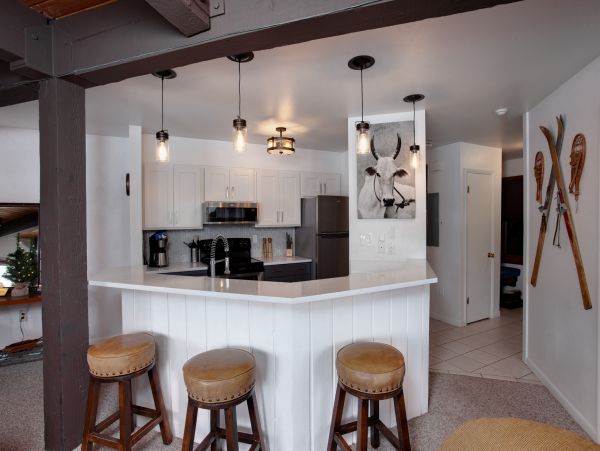 Steamboat Springs Condo 953256