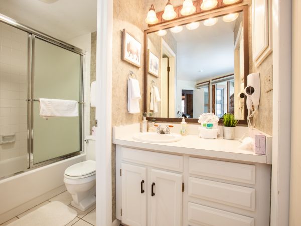 Steamboat Springs Condo 953256