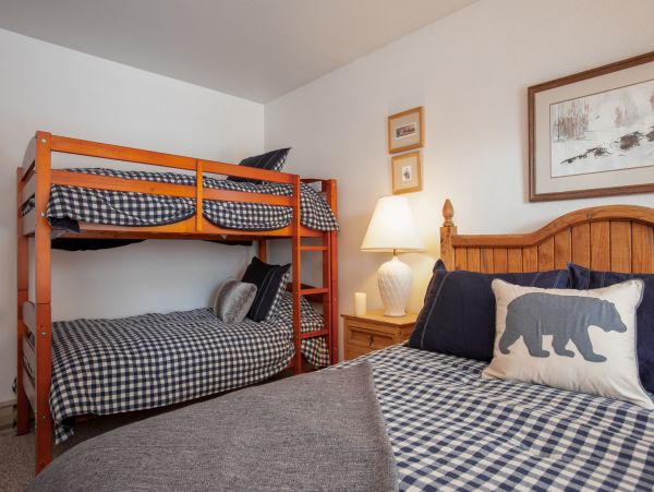 Steamboat Springs Condo 953256