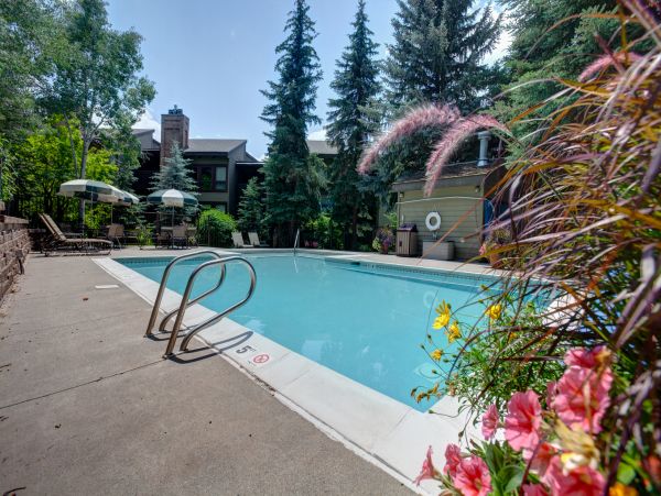 Steamboat Springs Condo 953256