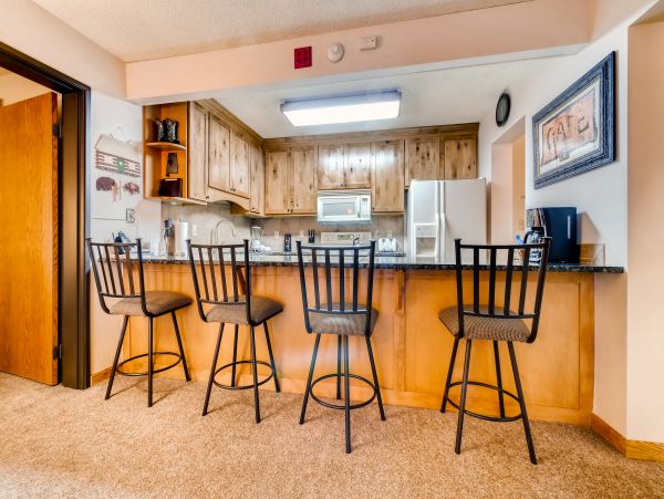 Steamboat Springs Condo 953257
