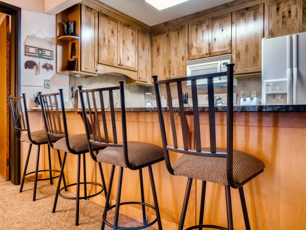 Steamboat Springs Condo 953257