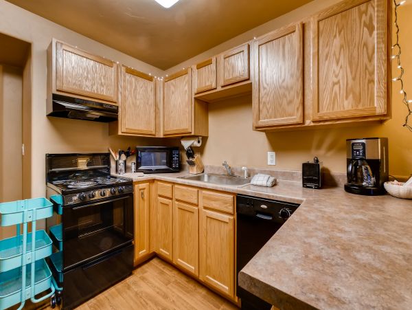 Steamboat Springs Condo 953260
