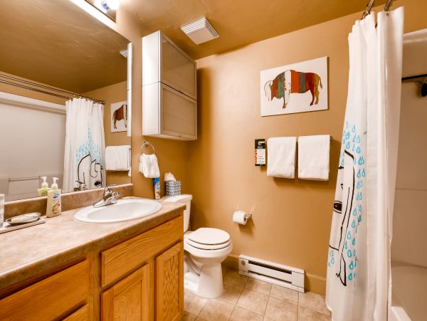 Steamboat Springs Condo 953260