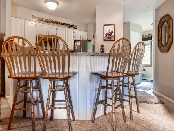 Steamboat Springs Condo 953261