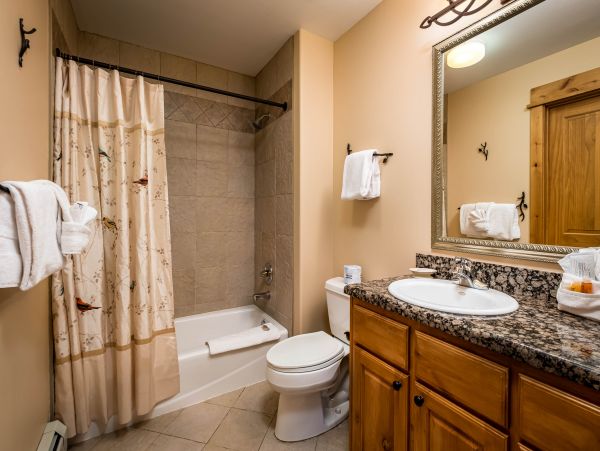 Steamboat Springs Condo 953265