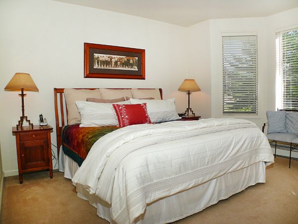 Steamboat Springs Condo 953267