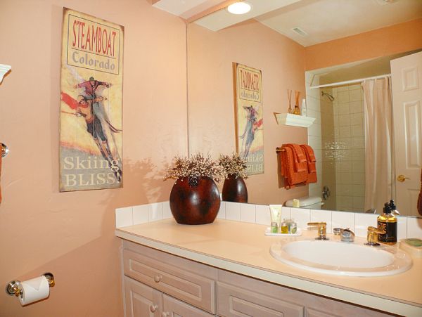 Steamboat Springs Condo 953267