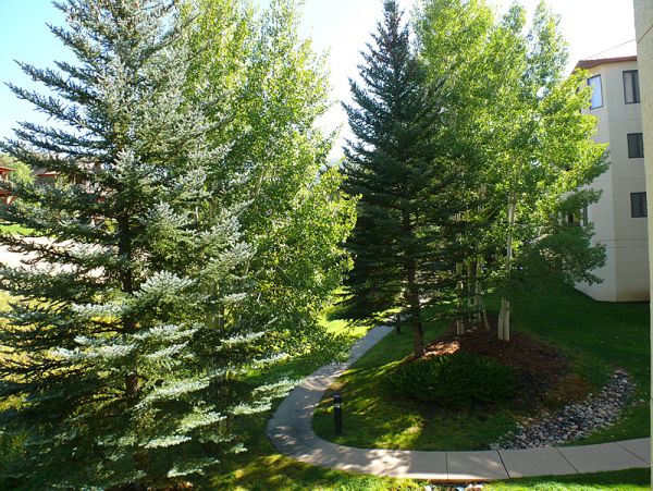 Steamboat Springs Condo 953267