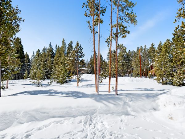 Winter Park Home 953271