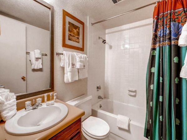 Steamboat Springs Condo 953273